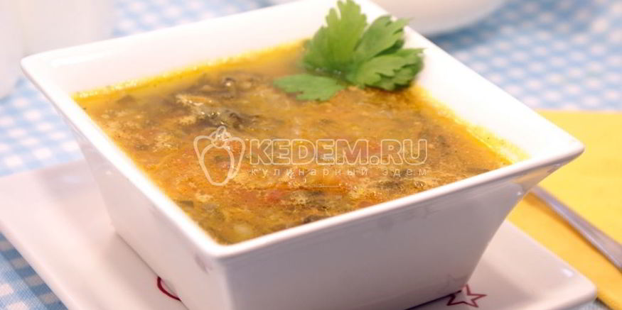 Рецепт супа на косточке с черемшой