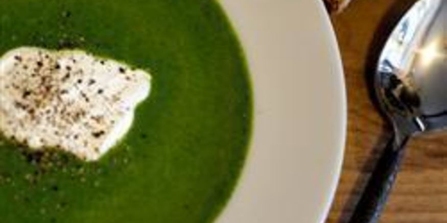 Рецепт крапивного супа-пюре с рисом