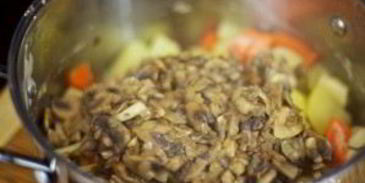 суп-пюре из свежих грибов