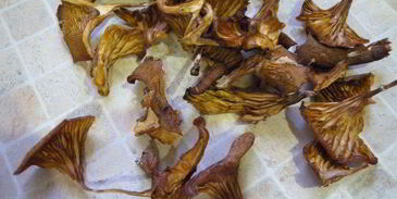 суп-пюре со сладким перцем, спаржевой фасолью и грибами