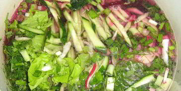 свекольник холодный