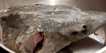 рыбный суп уха из осетра