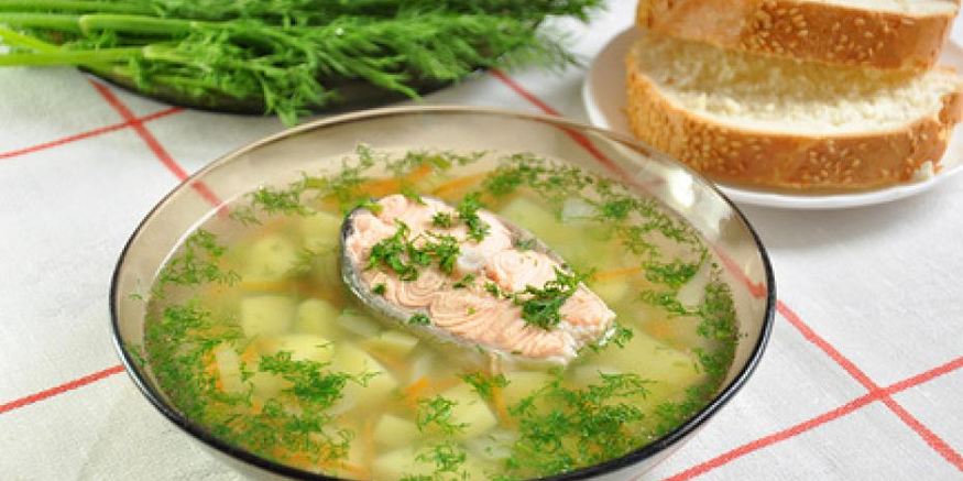 Рецепт ухи из форели с зеленью