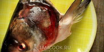 уха из головы толстолобика