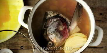 уха из головы толстолобика