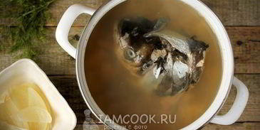 уха из головы толстолобика