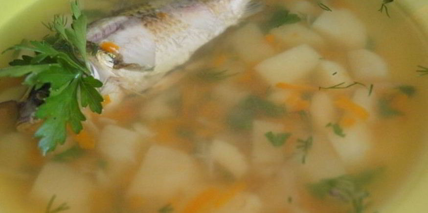 Рецепт ухи из карася