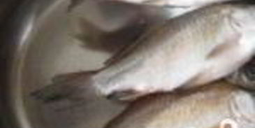 уха из карася