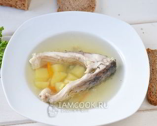 Уха из карпа