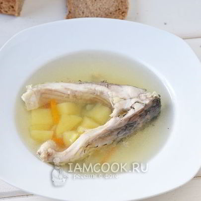 Уха из карпа