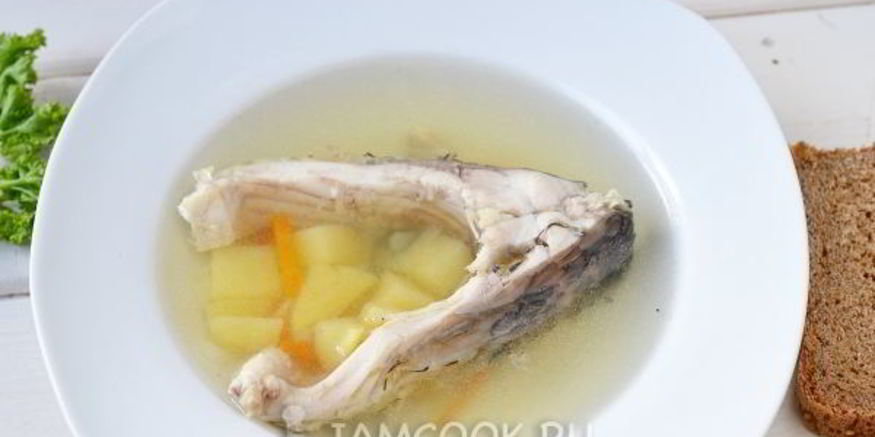 Рецепт ухи из карпа