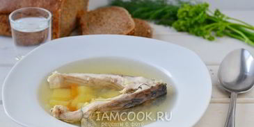 уха из карпа