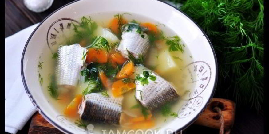 Рецепт ухи из кефали