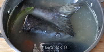 уха из кеты