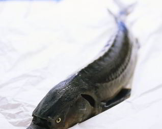 Уха из осетра