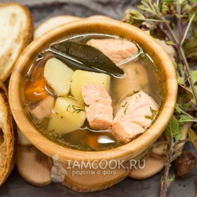 Уха из семги