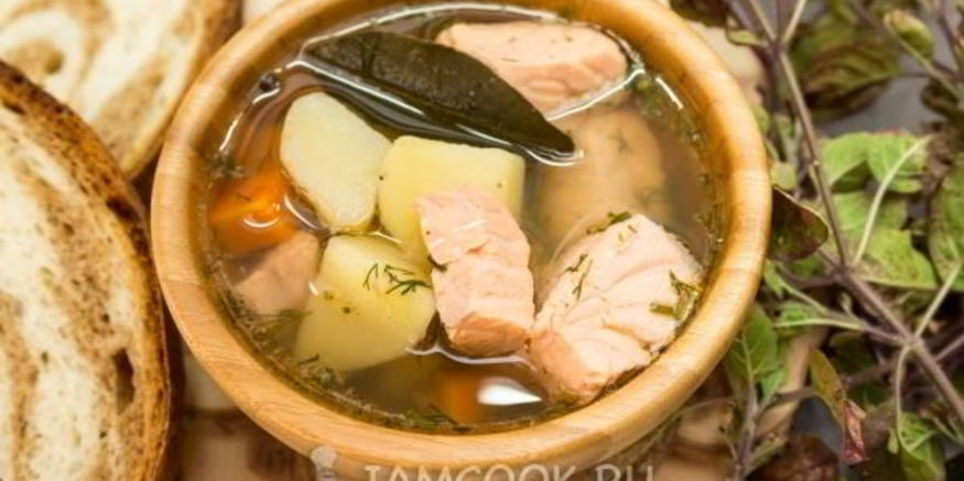 Рецепт ухи из семги