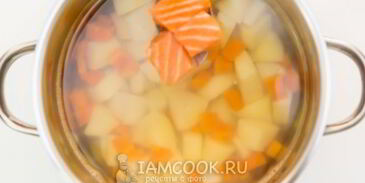 уха из семги