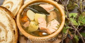 уха из семги