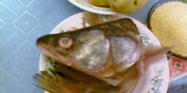 уха из судака