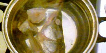 уха из судака