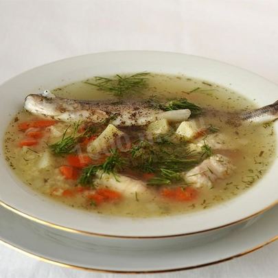 Уха из терпуга