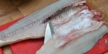 уха рыбацкая