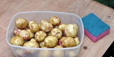 уха рыбацкая