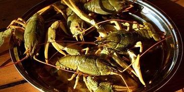 уха с речной рыбы