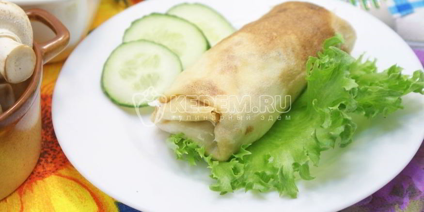 Рецепт блинчиков фаршированных фаршем