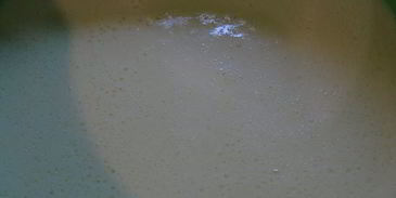 блины на двух видах молока