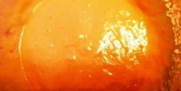 розовые блинчики с грейпфрутом