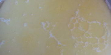 булочки дома паркеров