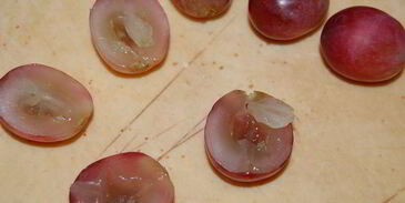 безумие 6 чизкейк ревень с виноградом