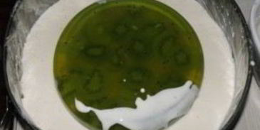 чизкейк с киви без выпечки