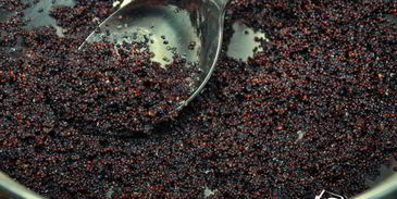 чизкейк с яблоками и маком