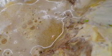 шоколадно-апельсиновый чизкейк