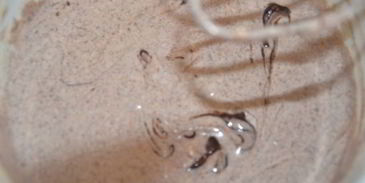 шоколадный чизкейк с фруктами