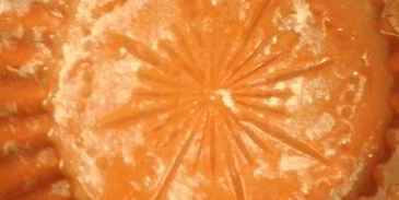 кекс морковно-апельсиновый с брусникой