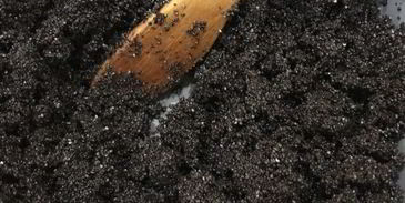 кекс с маком и изюмом