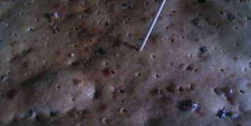 ромовая баба в новом исполнении