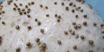 хлеб с отрубями