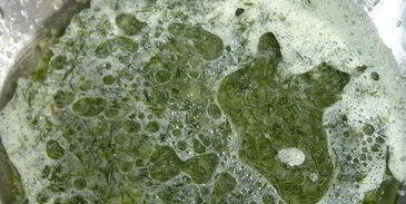 хлеб цвета осени