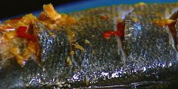 пряный сибас в лаваше с огурцом и зеленью