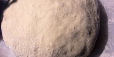 фокачча с помидорами черри и итальянскими травами