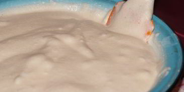 манник обыкновенный