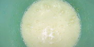 манник полосатик