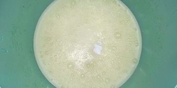 манник полосатик