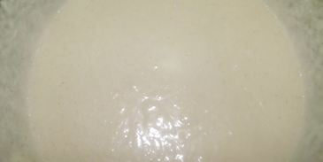 манник полосатик