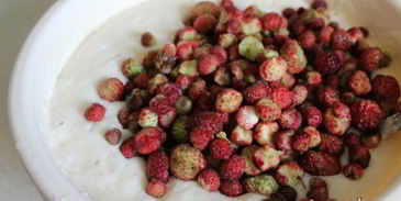 манник с лесной клубникой